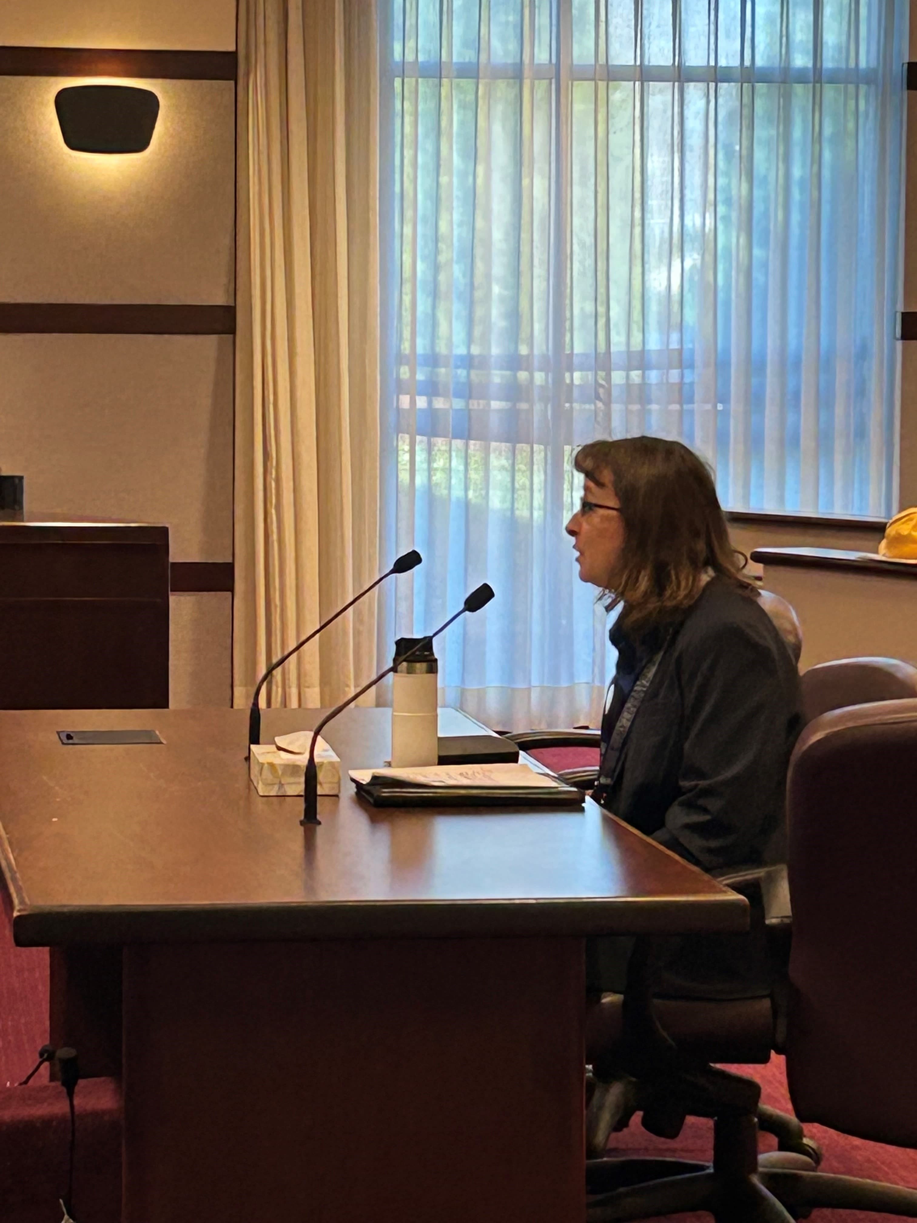 Kristine Adams-Wannberg testifying in a public meeting